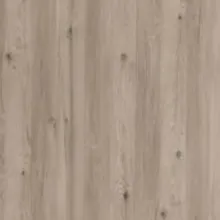 Échantillon du décor Chêne d'Argent